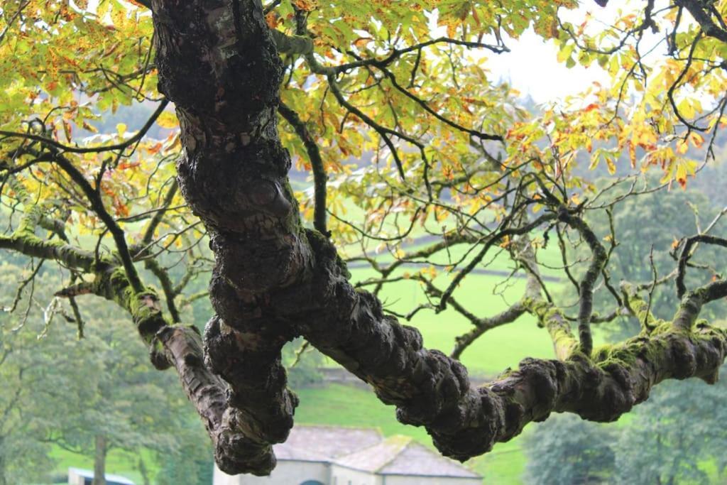 Folly View - Private, Peaceful Apartment With Stunning Views. Pateley Bridge Esterno foto